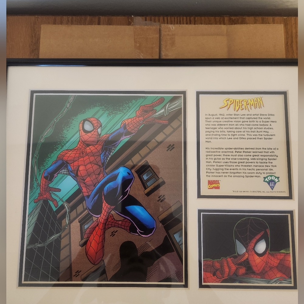 Spiderman print